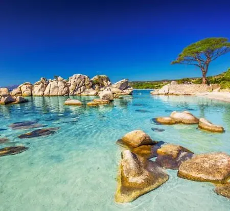 Grande Maison Avec Piscine