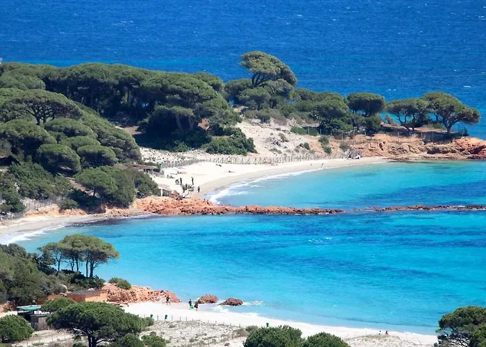 Villa Grande Maison Avec Piscine Porto-Vecchio (Corsica)